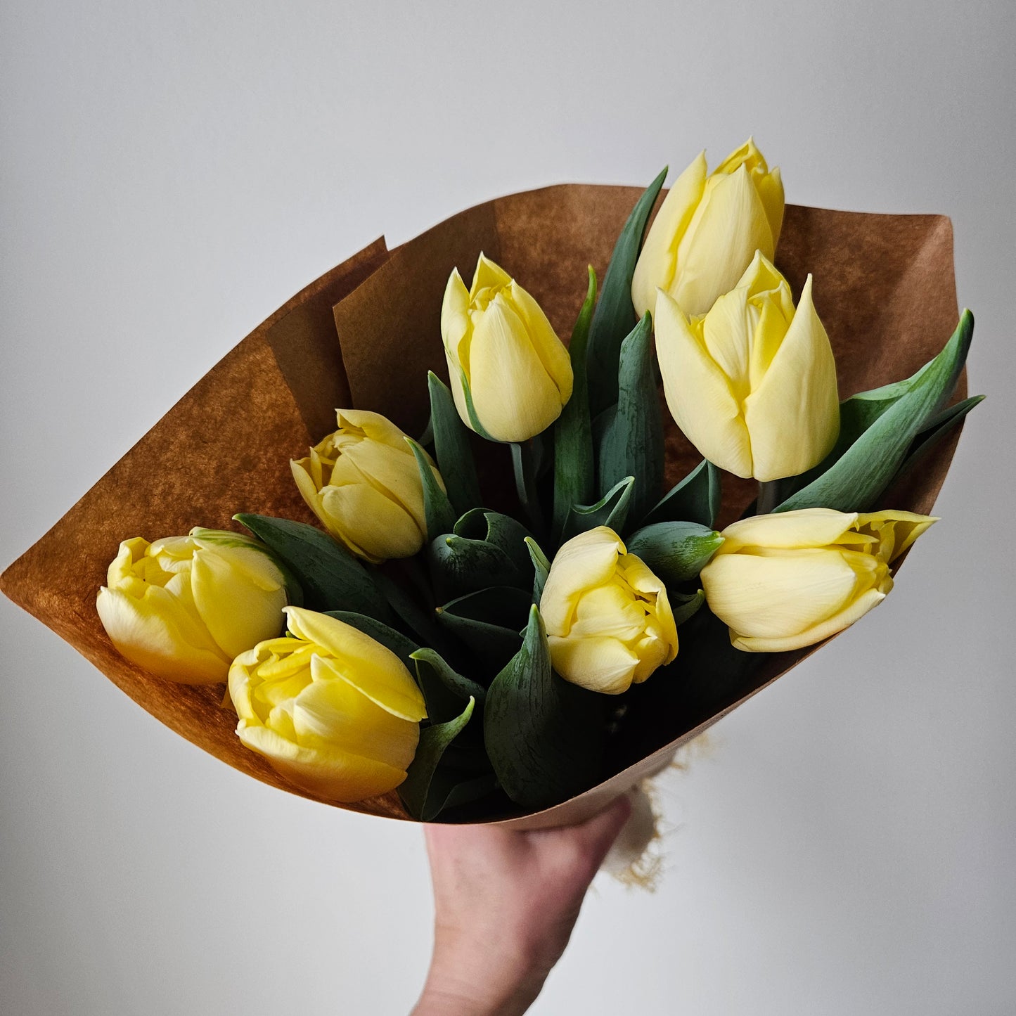 Winter Tulip Subscription