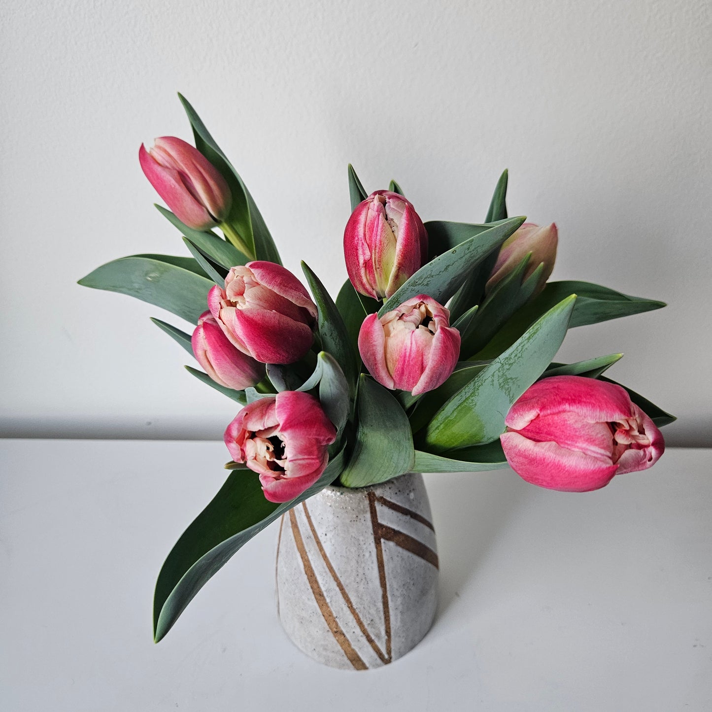 Winter Tulip Subscription