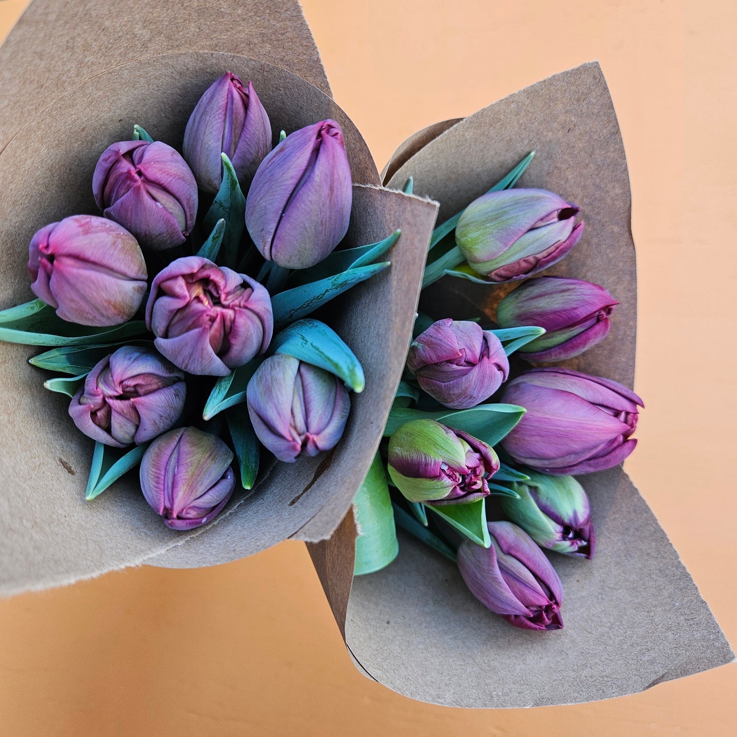 Lincoln-grown Winter Tulip Bouquet