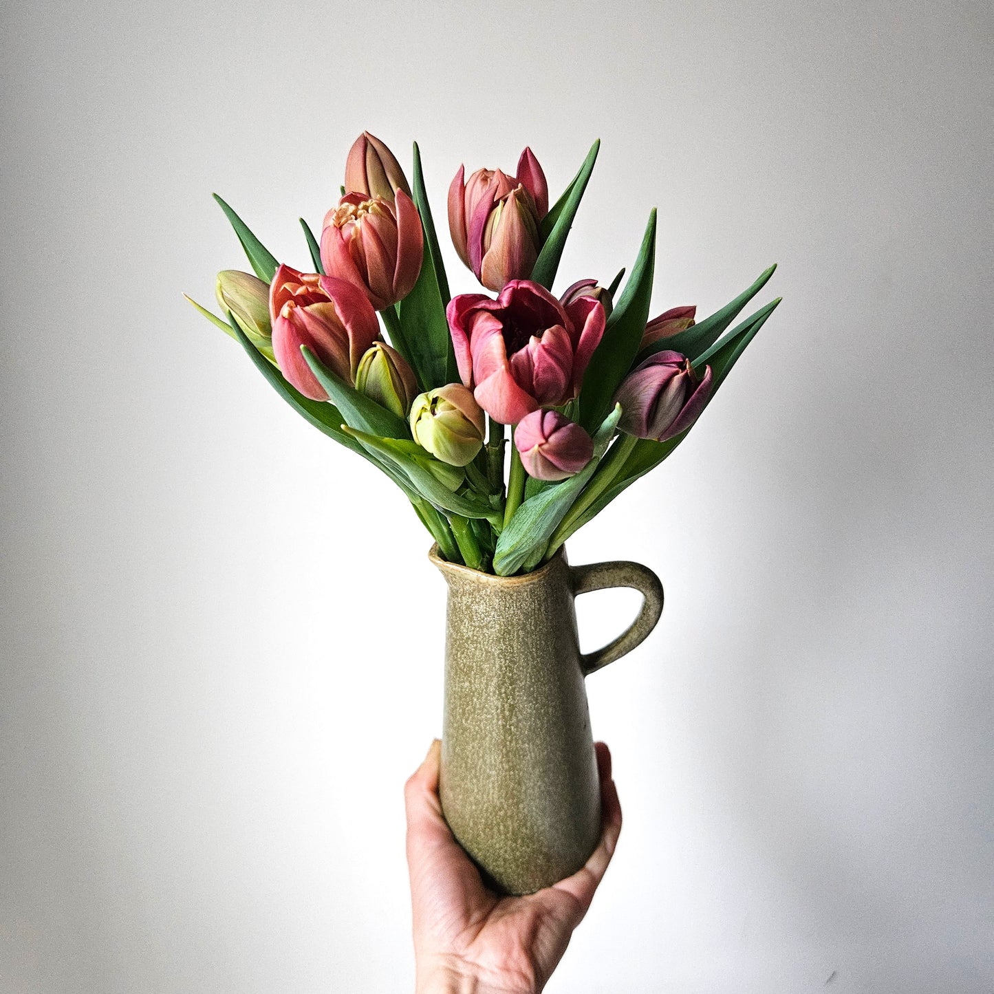 Winter Tulip Subscription