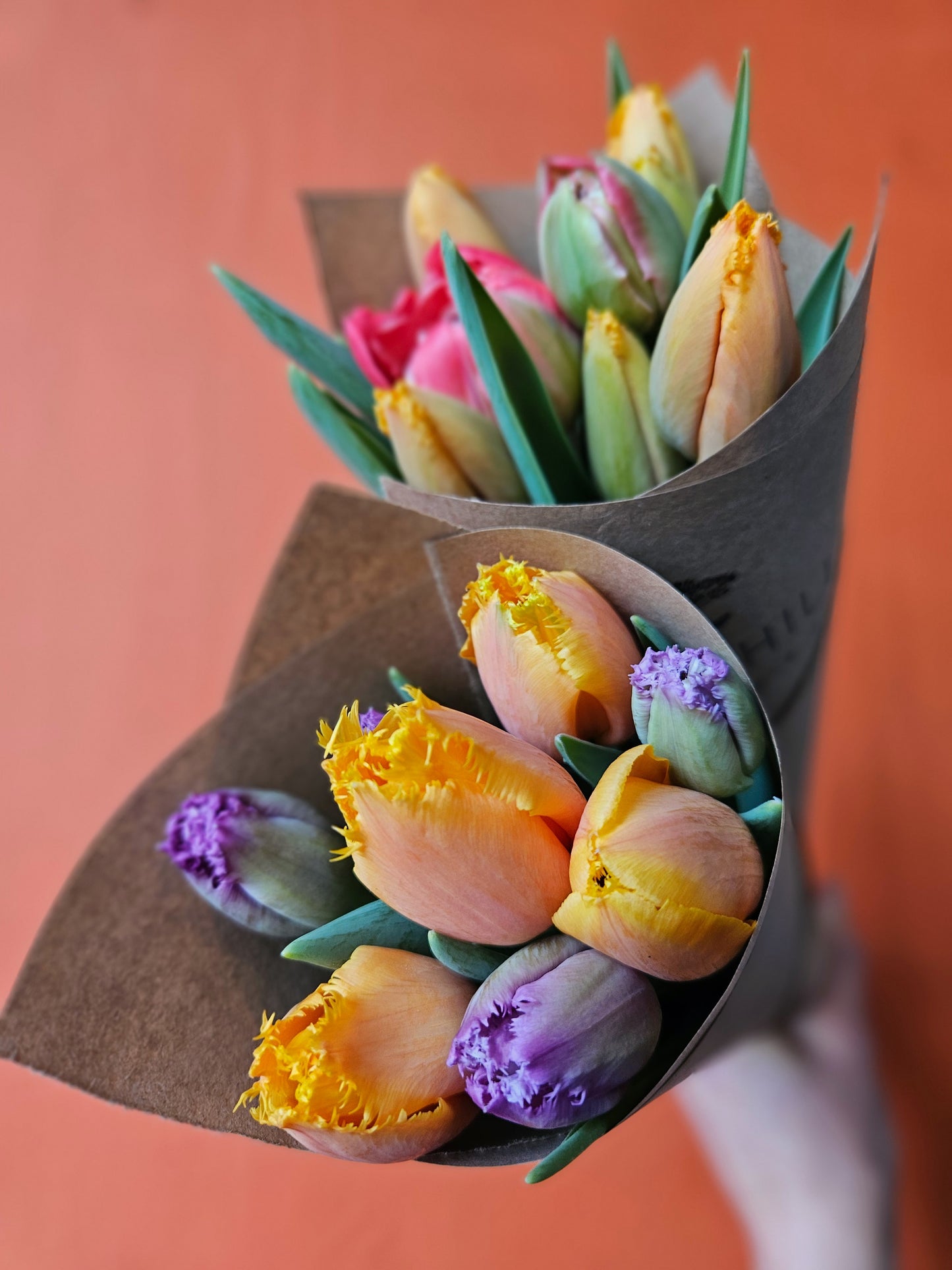 Winter Tulip Subscription