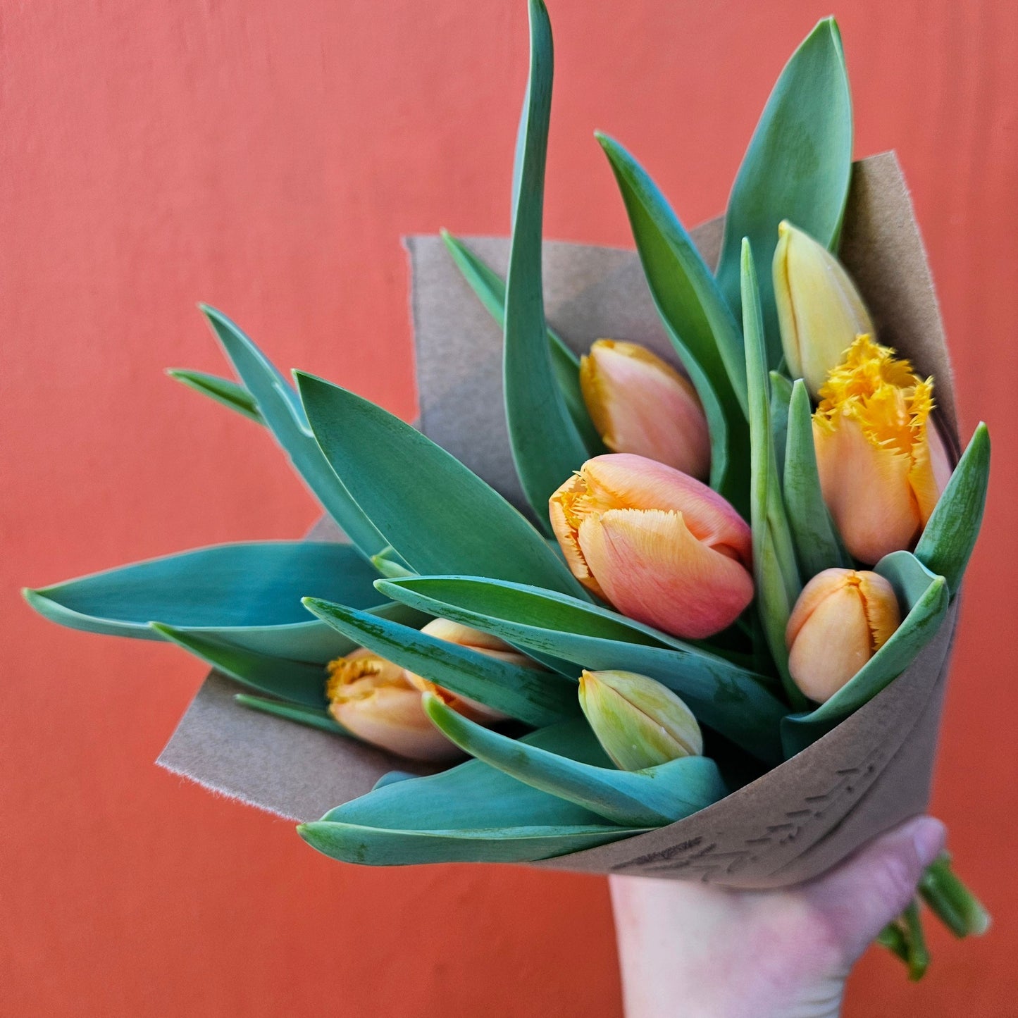 Winter Tulip Subscription