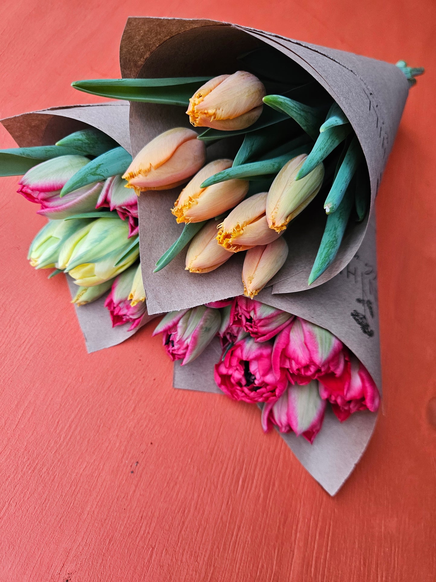 Late Winter Tulip Subscription