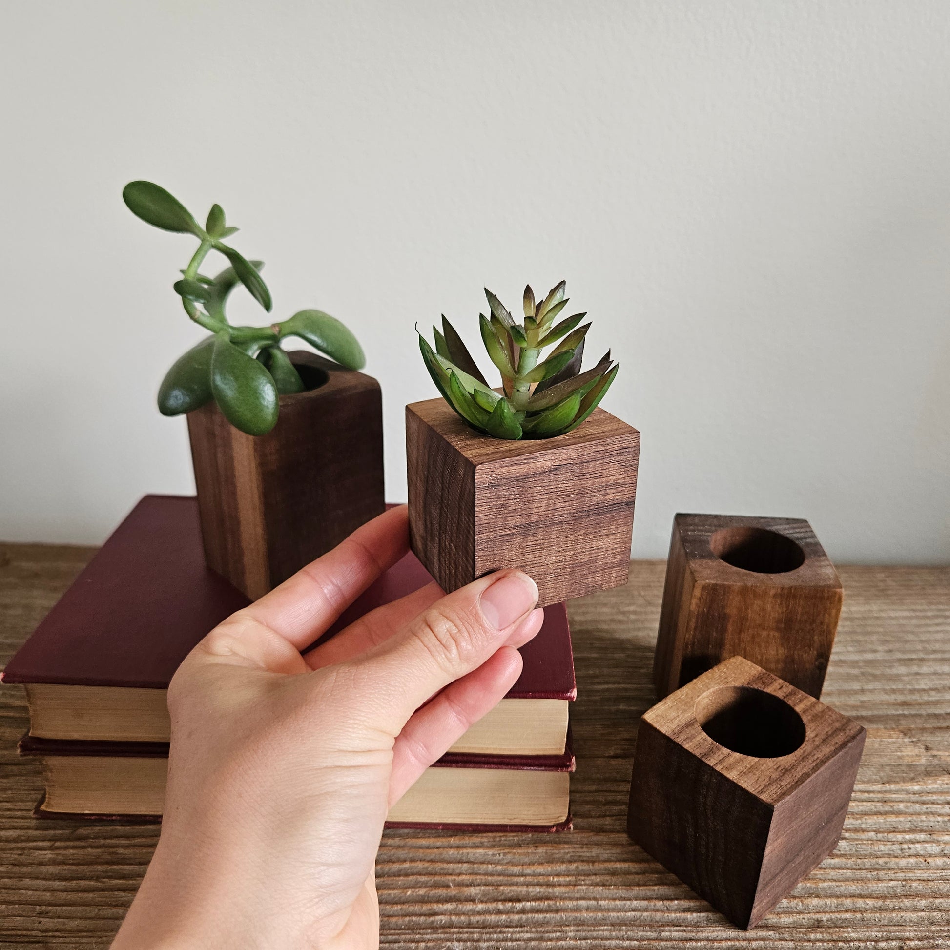 wood succulent pot Walnut succulent planters – Hazen Hill
