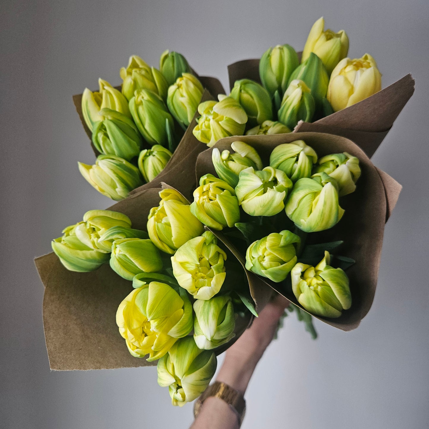 Winter Tulip CSA Subscription
