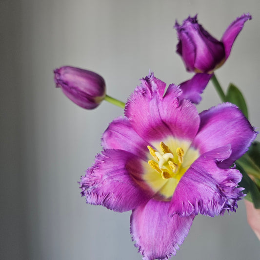 Custom order stems