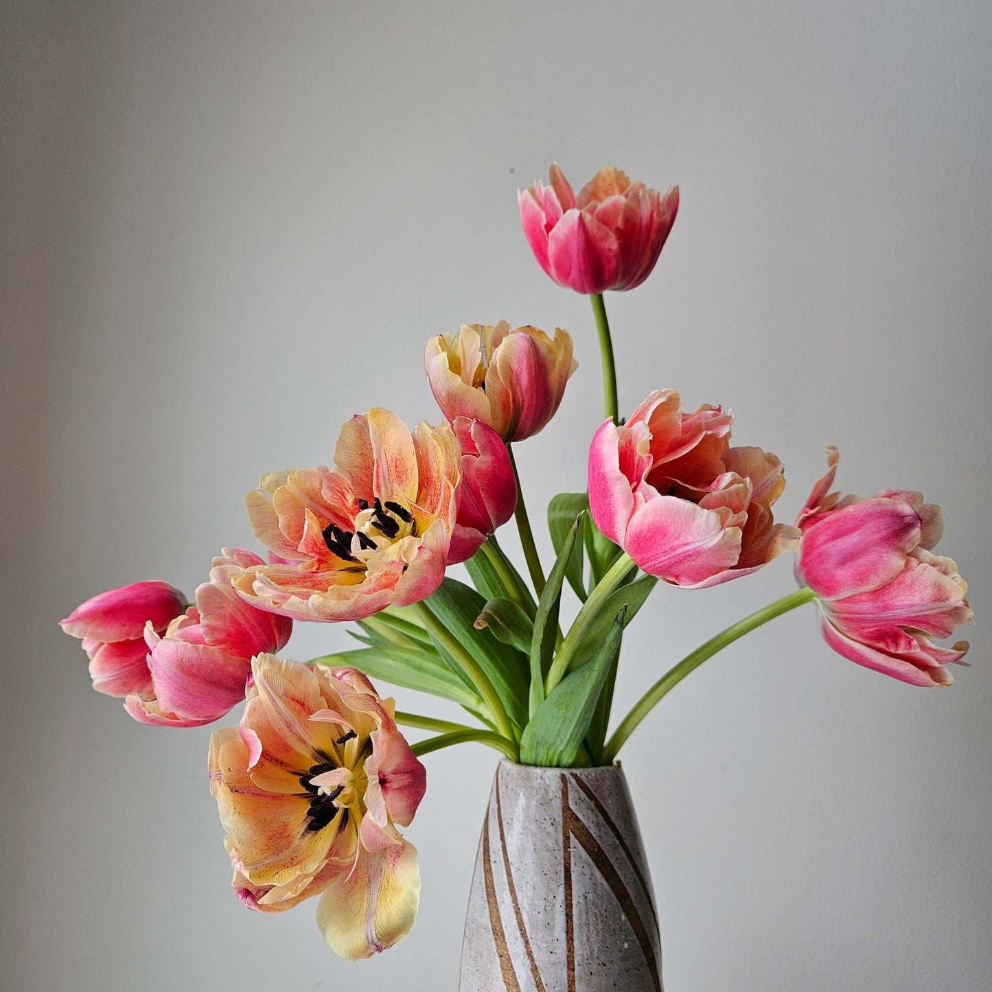 Winter Tulip CSA Subscription