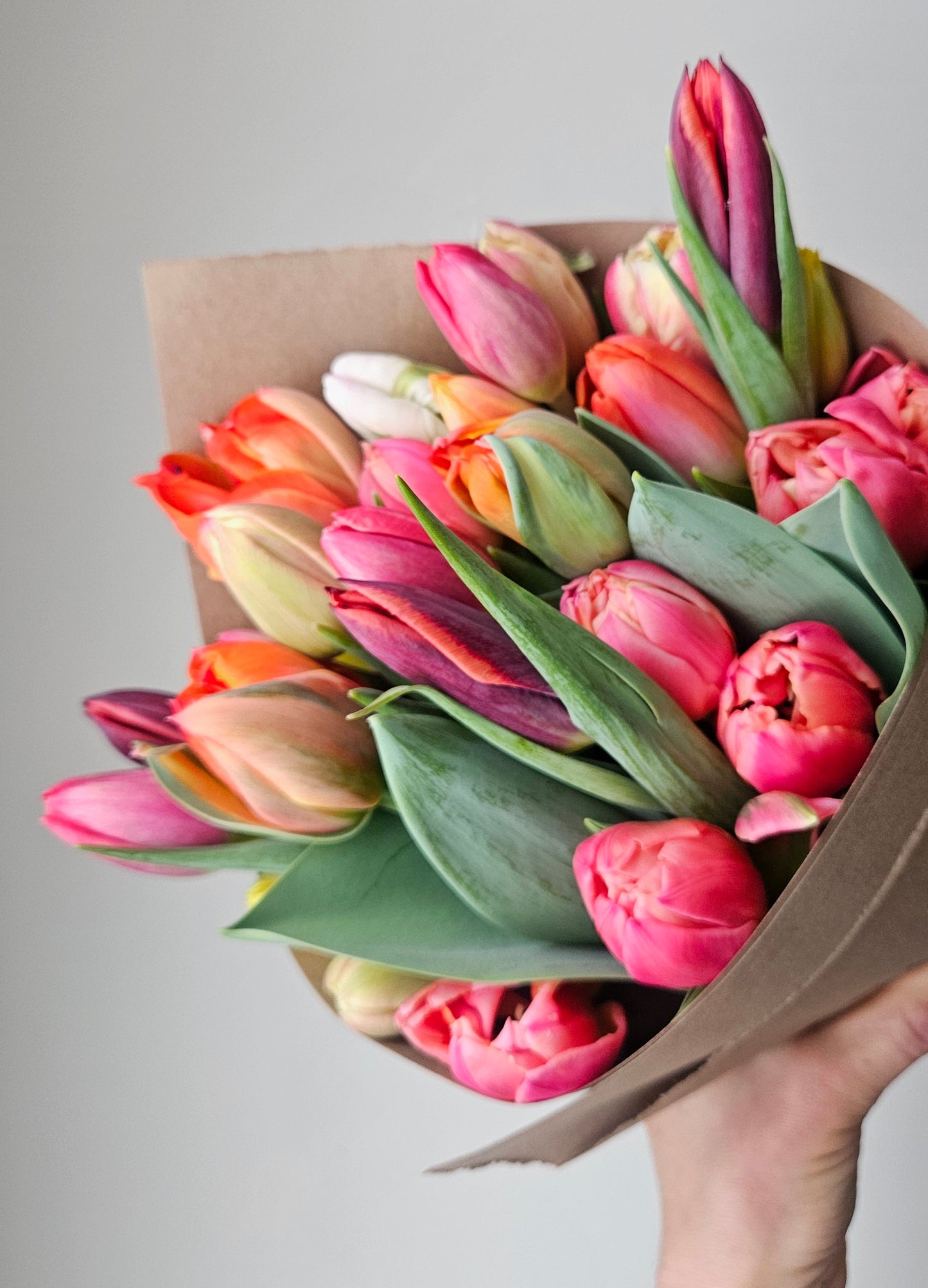 Lincoln-grown Deluxe Winter Tulip Bouquet