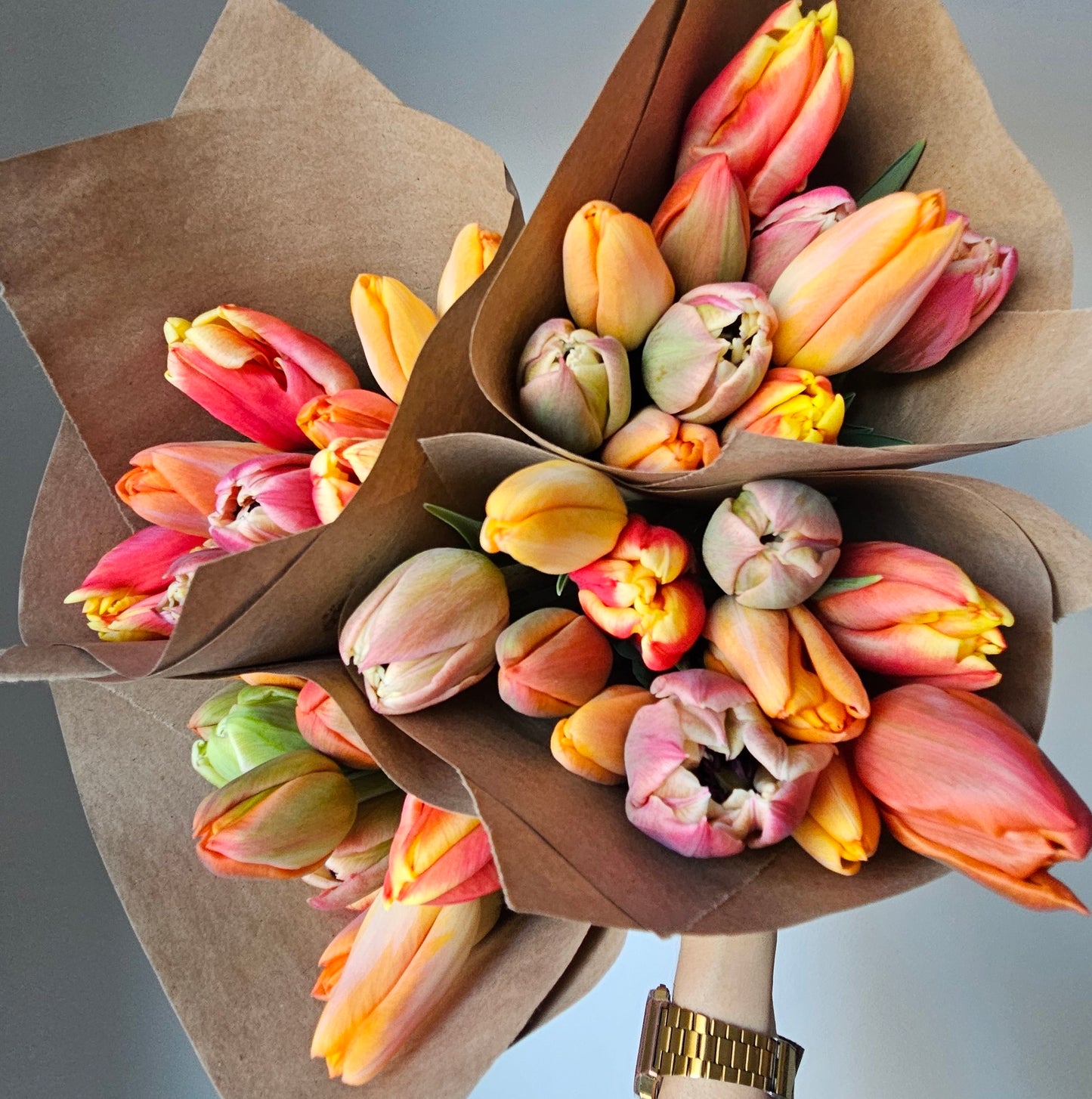 Winter Tulip CSA Subscription