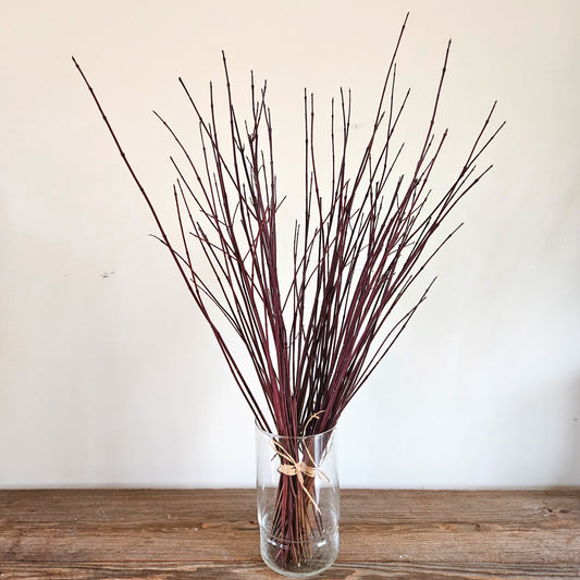 Red dogwood bundles
