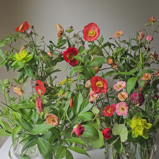 Food Project florals 5/18